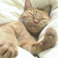 たかし 会員画像