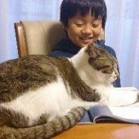 さこちょこみゅー 会員画像
