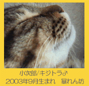 ふーちゃんぐ 会員画像