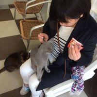 わめ猫 会員画像
