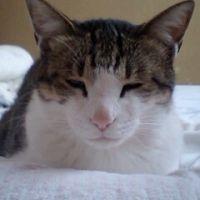 しゃお 会員画像