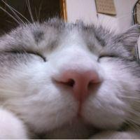 海ちゃんmama 会員画像