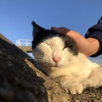 サリダデルソル 会員画像