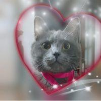 チュナ 会員画像