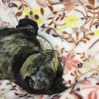 ギン&リュウタさん