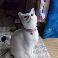 会員画像