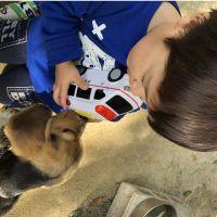 豚太郎ちゃん 会員画像