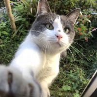 なちびーむ 会員画像