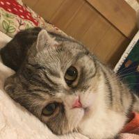 会員画像