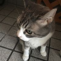 会員画像