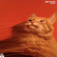 くうるん 会員画像