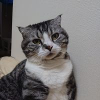会員画像