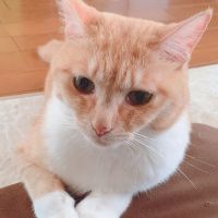 ぴ♡♡♡ 会員画像