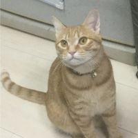 会員画像