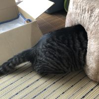 もんもんさん 会員画像