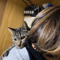 猫と猫と私 会員画像
