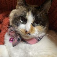 山田ラムさん
