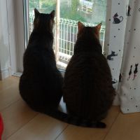 会員画像