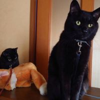 会員画像