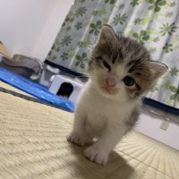 tanukichi910 会員画像