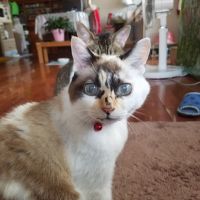 会員画像