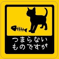 三毛猫みりかさん