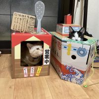 バロンレオ 会員画像