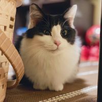 ゼキー 会員画像