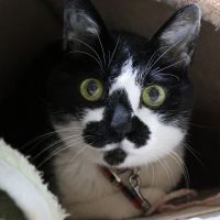 あかまり 会員画像