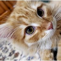 モカ0129 会員画像