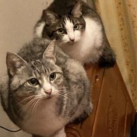 ゆかリイコ 会員画像