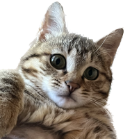 おがつにゃんこクラブさん