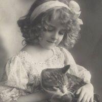 美猫舎 会員画像