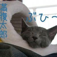 うたたね