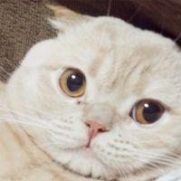 会員画像