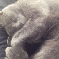 ジェームス 会員画像