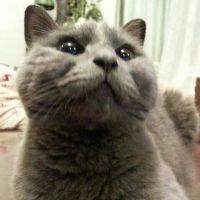 ねねるか 会員画像