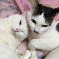 会員画像