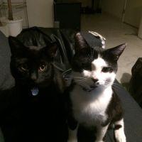 イギー 会員画像