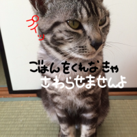藤本 むつみ 会員画像