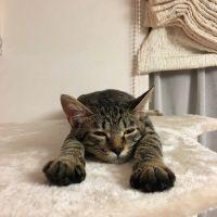 アリャ 会員画像