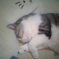 会員画像