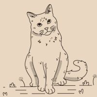 torotoroさん
