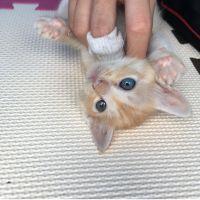 会員画像