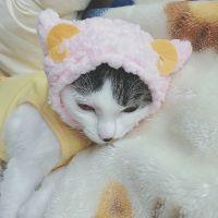 心春ちゃん 会員画像