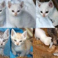 たゃん 会員画像