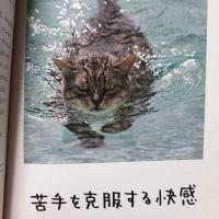 菜絵 会員画像