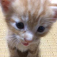 会員画像