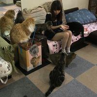 ミサねこ 会員画像