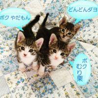 ゆうとさん 会員画像